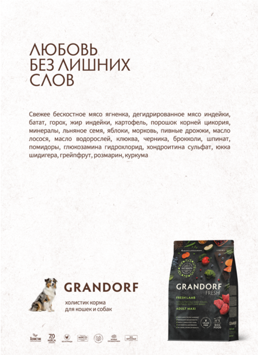 Макет Grandorf для собак
